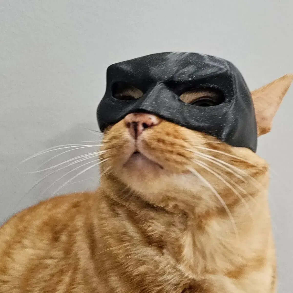 Mascara de 🦇Batman 🦇 ✨ SORPRENDE A TODOS ✨ Incluye un Accesorio de 🎁REGALO🎁